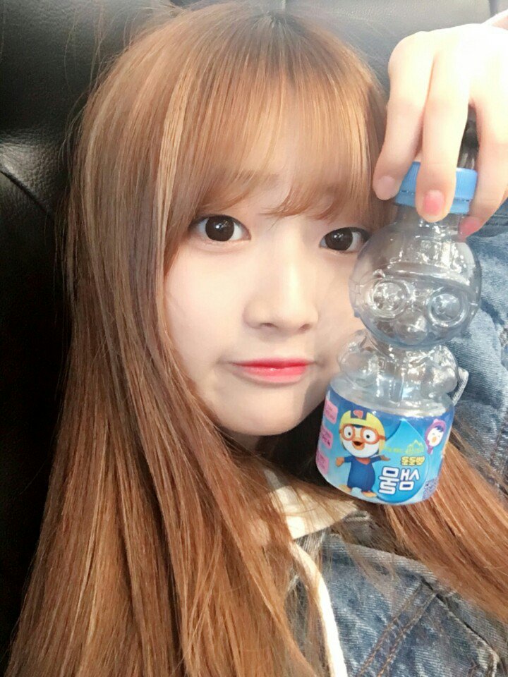 프로듀스101 짹짹이 트윗 | 인스티즈