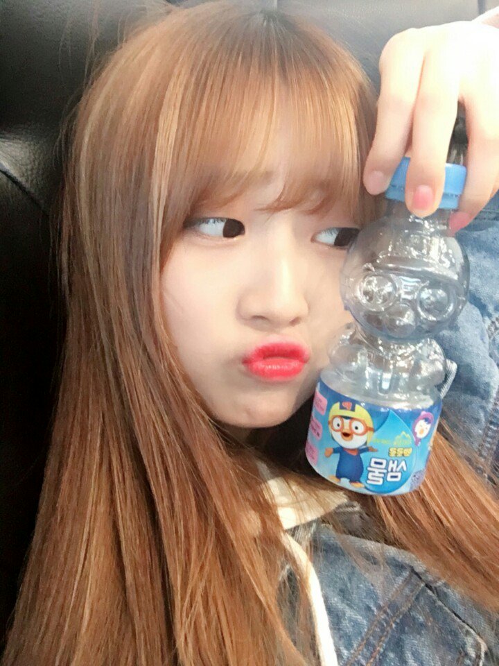 프로듀스101 짹짹이 트윗 | 인스티즈