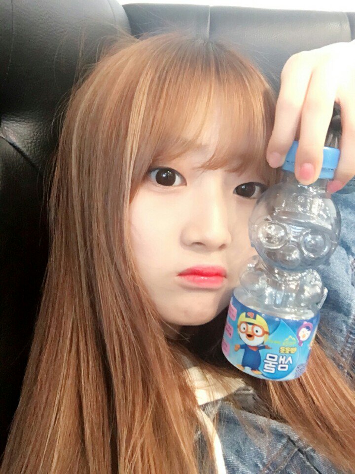 프로듀스101 짹짹이 트윗 | 인스티즈