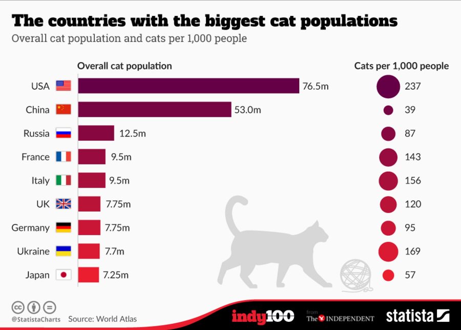 Country cats. В какой стране больше всего кошек. Вкаеой строге больше домашних кошнк. Количество домашних кошек по странам. Страны по количеству котов.