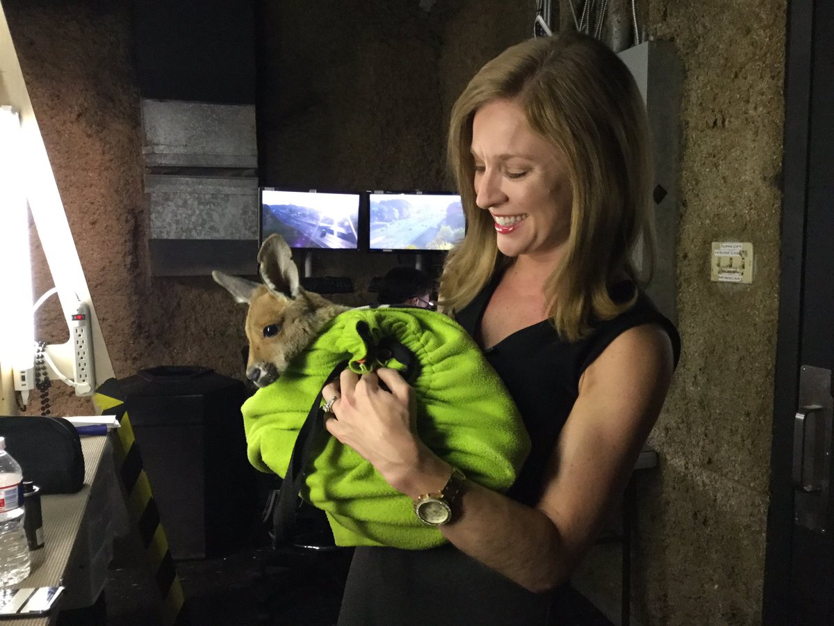 WAFB's tweet photo. She's not a bunny, but she does hop. Meet #Rubythekangaroo. @LaurenWestbrook loves her! https://t.co/jR7VMEikWo