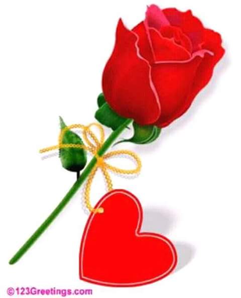 DandariR's tweet photo. @LavanyaLavisiva https://t.co/SJN1zhvbDo