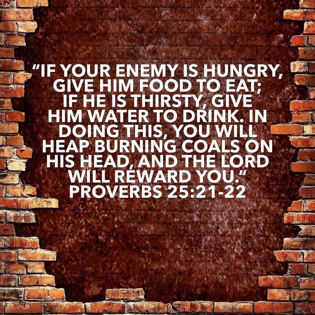 JasonChenoweth's tweet photo. #Proverbs31DayChallenge #Proverbs25 https://t.co/qJvrf40S9z https://t.co/zgjEtm734t