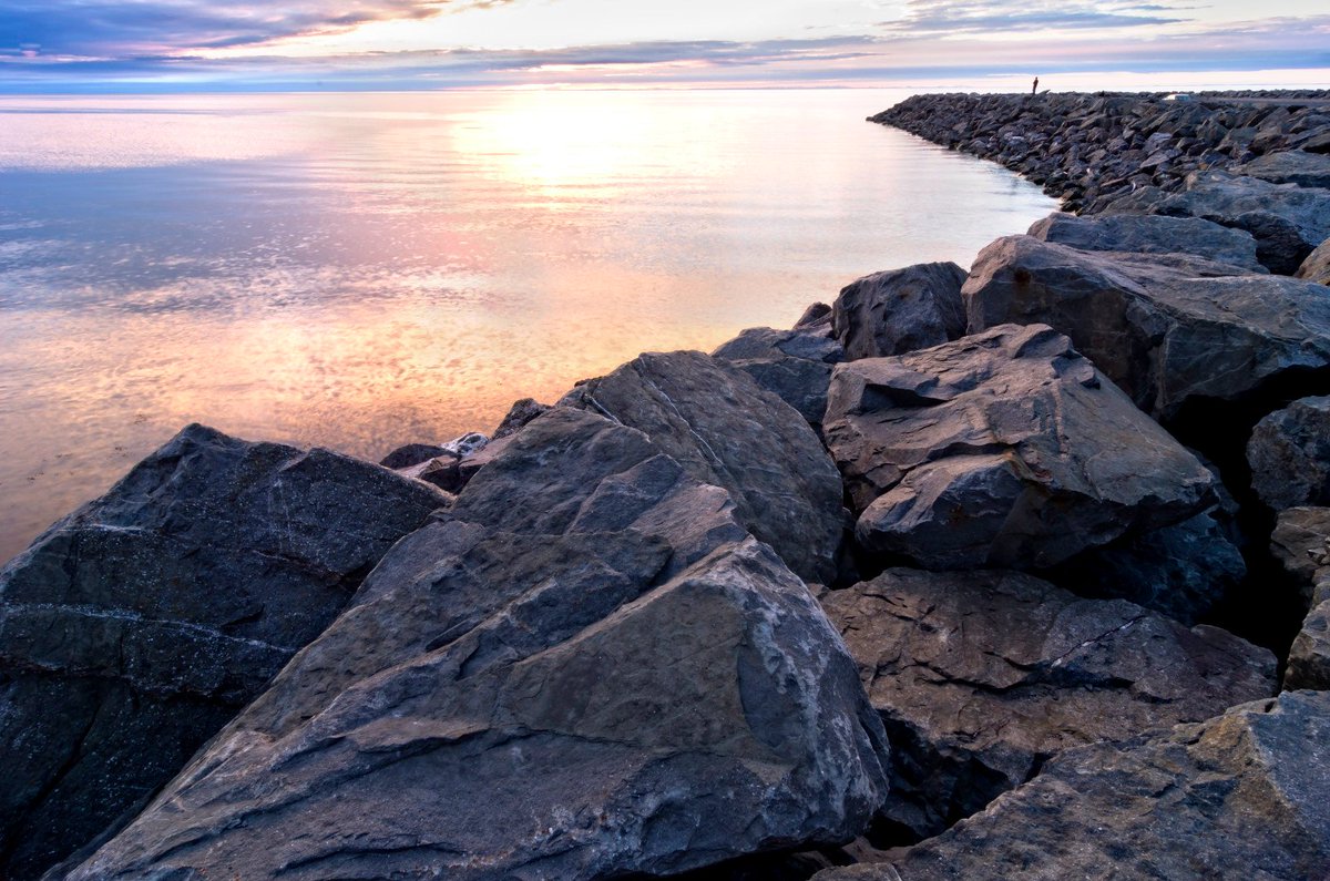 Beth Smart tweet media