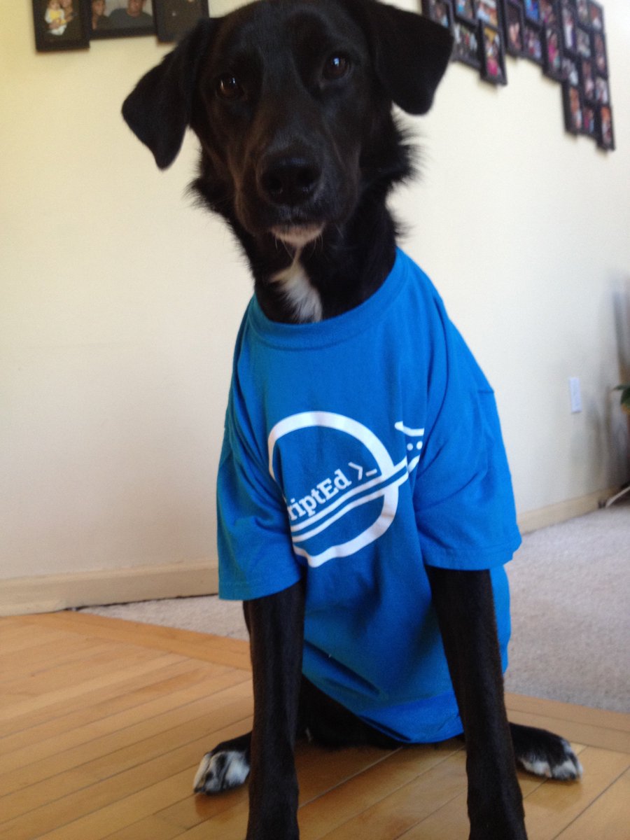 itsCodeNation's tweet photo. Pups are excited that @barkbox has committed to hire a @ScriptEdOrg front end #dev intern! https://t.co/KDIqtnqIYi 🐶 https://t.co/A7v7bu0qwR