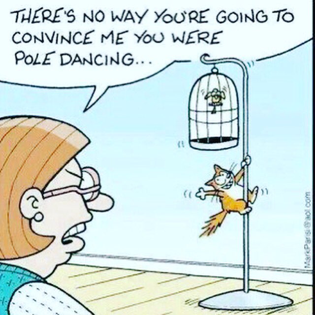 PoleMamas's tweet photo. It's Friday!!! Enjoy your weekend!
#freakyfriday #polemamas #poledancingcat #poledancing #polefitness https://t.co/zfHnB1yb2c
