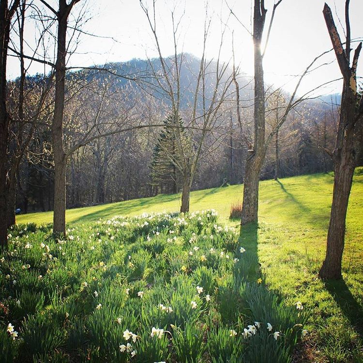 botetourtcounty's tweet photo. Hello sunshine my old friend. It's so good to see you again! #visitbotetourt #spring https://t.co/WRxc4TVcyZ https://t.co/QZtF9CW1qK