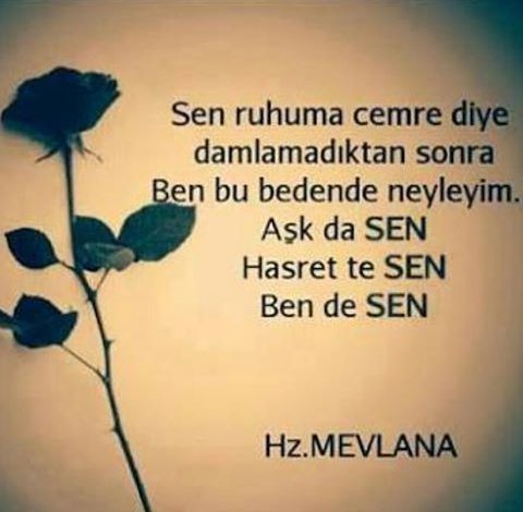 NurdanSonal's tweet photo. https://t.co/1bNFynfukV