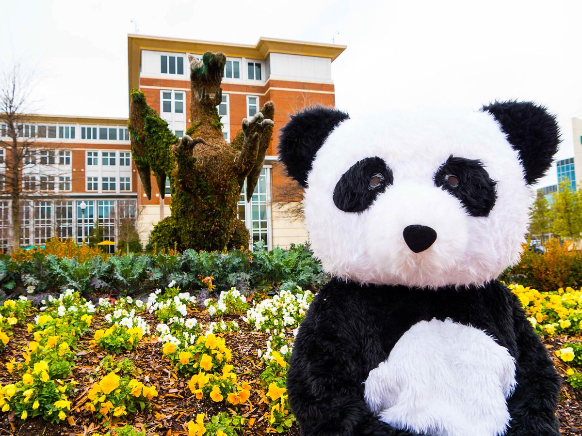 Is there someone behide me?
#GrowWithCanvas Events
March 30 &amp; 31, 2016 
bit.ly/1o1rBR6