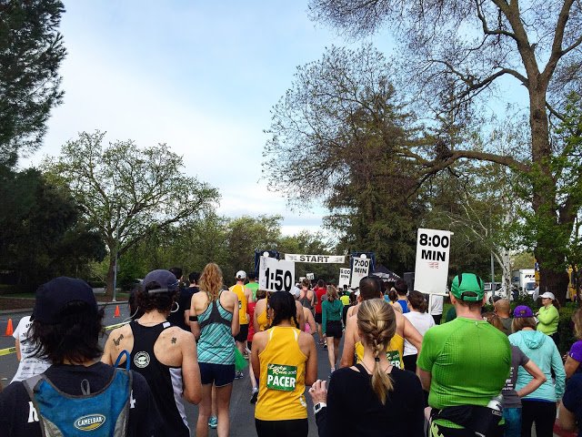 runhikenplay's tweet photo. Run-Hike-Play: Davis Lucky Run Half Marathon Race Recap 3/19/15 https://t.co/tHZwYDrU3x #sweatpink #davisluckyrun https://t.co/xoTACkJdXd
