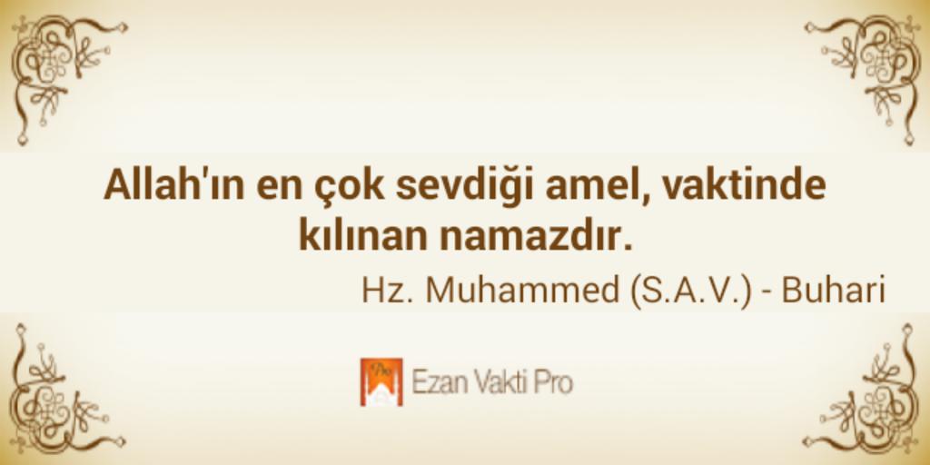 Berfin Lozika (@berfinandlife) on Twitter photo 
