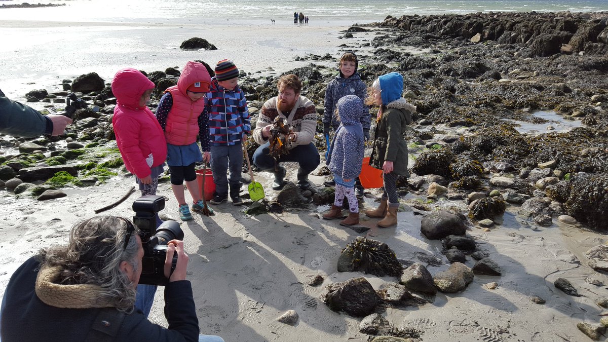 MsEatGalway's tweet photo. Seaweed foraging and a bit of sand castle making this morning with @mistereatgalway @Galwayfood @AniarGalway https://t.co/OXb4eqofet