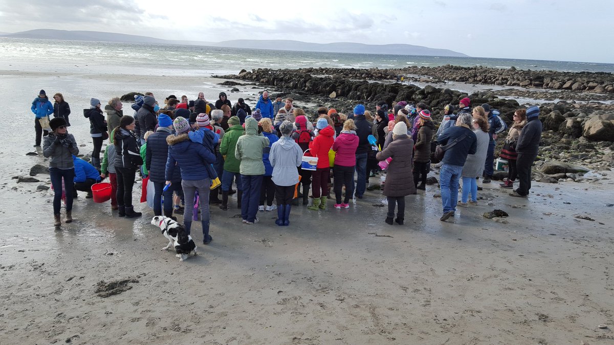 MsEatGalway's tweet photo. Seaweed foraging and a bit of sand castle making this morning with @mistereatgalway @Galwayfood @AniarGalway https://t.co/OXb4eqofet