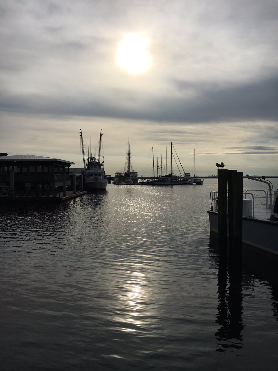 FullMoonAdv's tweet photo. Headed to @CumberlandIslNP for a 21 mile weekend #backpacking trip. #wildhourses https://t.co/mQ0Gdy1VL2