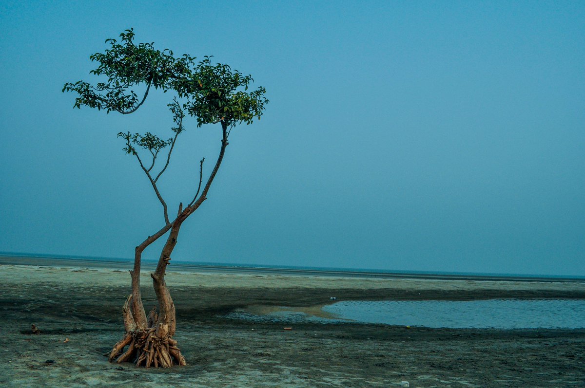 atreya94's tweet photo. Planning a roadtrip to Henry's Island this weekend ? Read the full blogpost here at : https://t.co/yaK3PjjXdn !! https://t.co/3tbfujyqe1