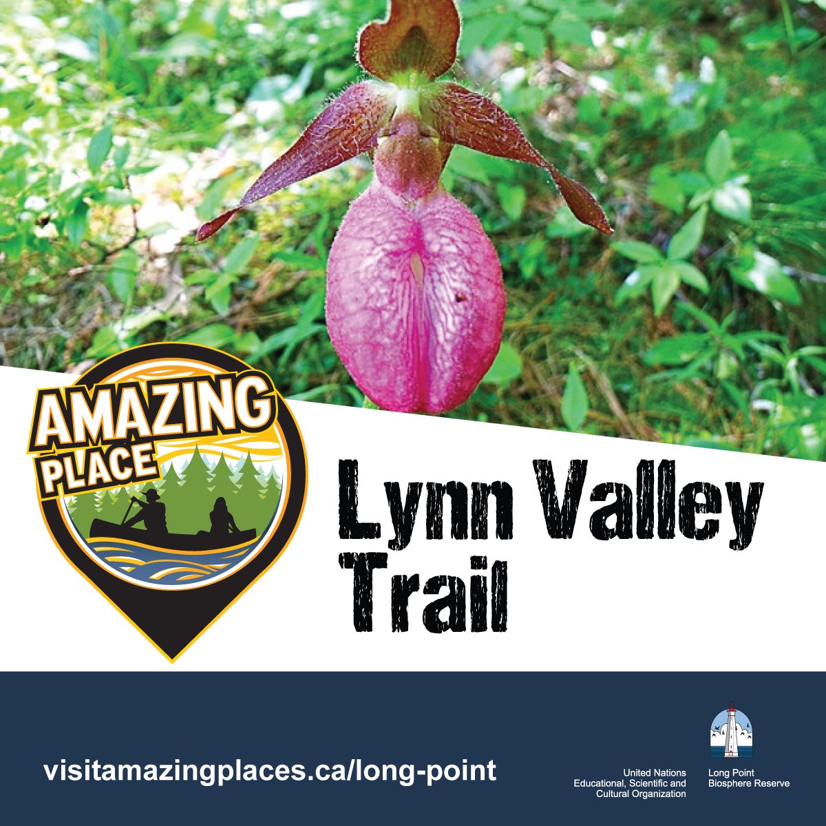 If you are on the Lynn Valley Trail, keep an eye open for a Lady's Slipper Orchid. #AmazingPlaces #NorfolkTrails