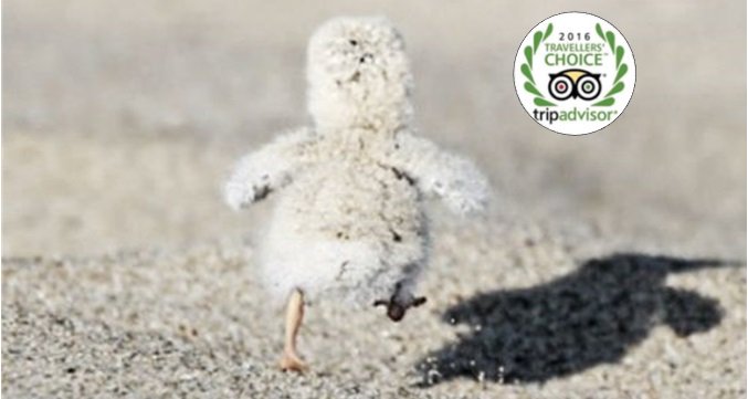 Wij wensen iedereen alvast een heel gezellig Paasweekend!
Nog geen plannen voor zondag? bit.ly/1UgIrtq