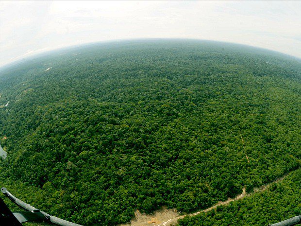 g1's tweet image. Buscas por desaparecidos em reserva no Amazonas são retomadas glo.bo/1q5N9h5