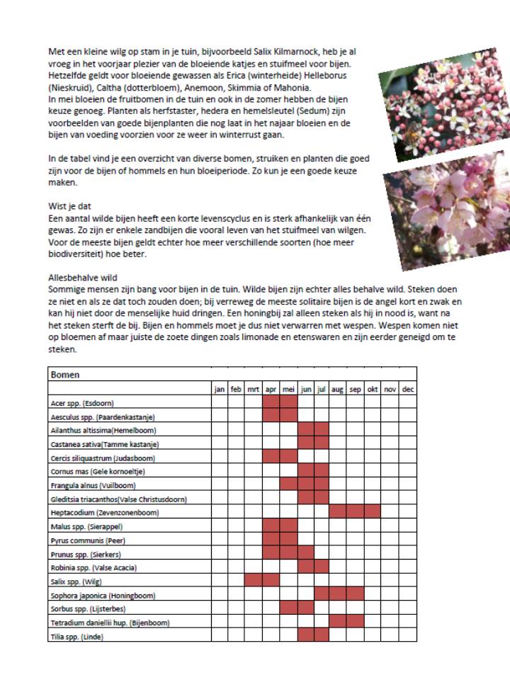 blijmetdebijen's tweet photo. Help de bij aan stuifmeel en nectar met bloeiende planten en bomen #bijen #biodiversiteit #beefriendly #groenestad https://t.co/5i4Fo1dZv7