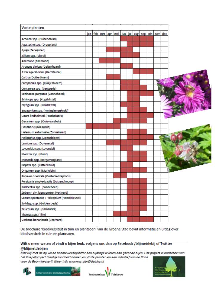 Help de bij aan stuifmeel en nectar met bloeiende planten en bomen #bijen #biodiversiteit #beefriendly #groenestad