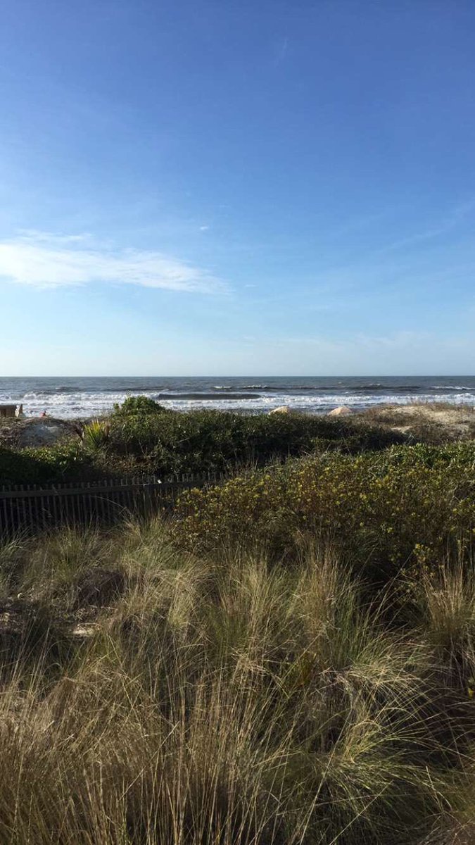 Adiply's tweet photo. Adiply #beach weekend at #kiawah https://t.co/zUoyw6l8mG