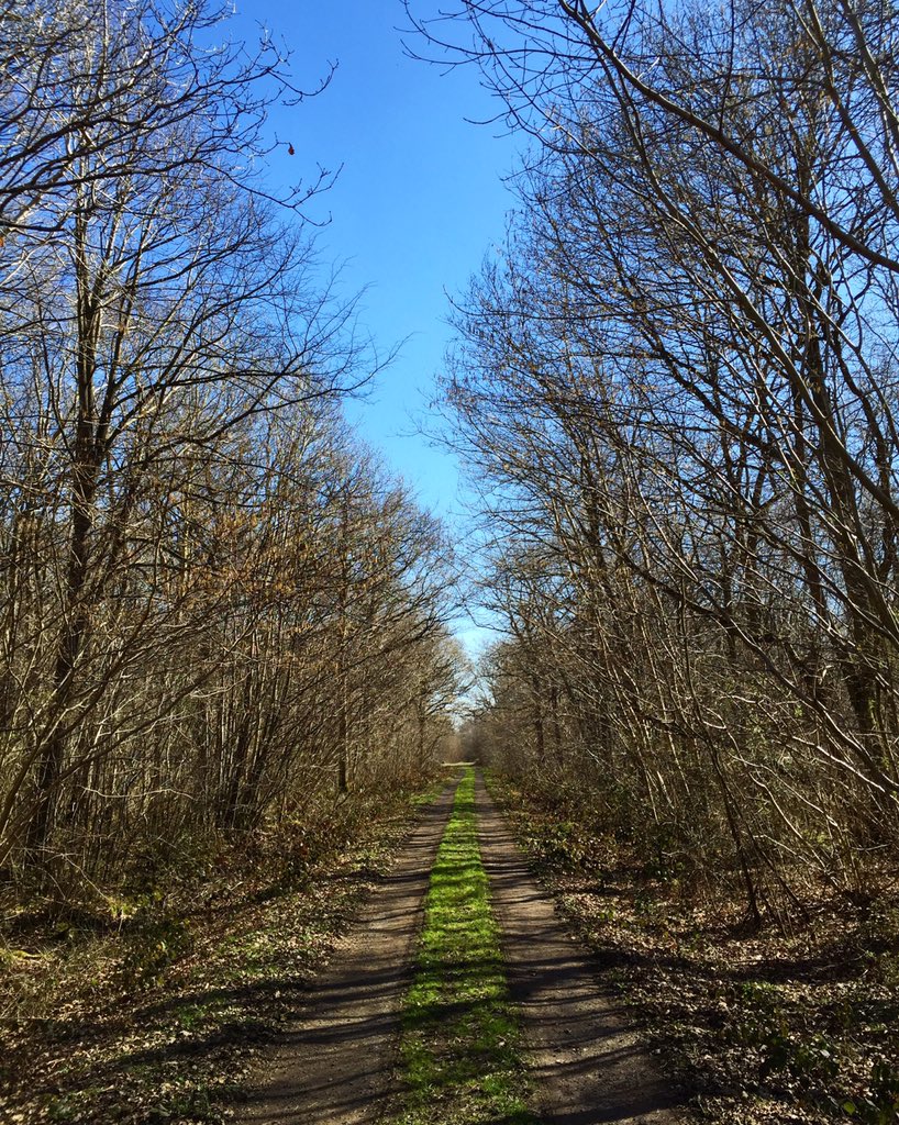 CeZar0905's tweet photo. Far too nice to be in the studio today! #WalkNotWork #GoodFriday https://t.co/PYCvjkluCQ