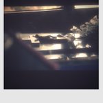 Photo by Bert Pot (@Camerabert)
