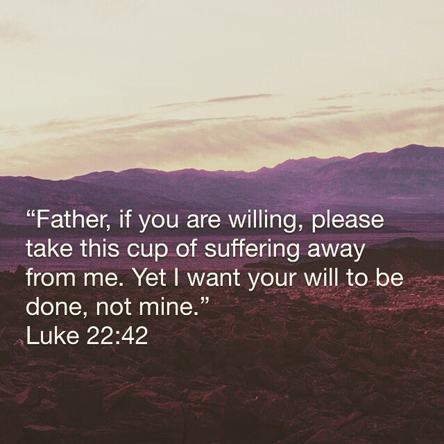 CNorrisTweets's tweet photo. When we face fear, do we run away or ask for God's will to be done? #GoodFriday 

https://t.co/or6WTTMKgK https://t.co/JmJXMxwiFw