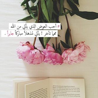 Tafaol1399's tweet photo. عوضٌ مذهلٌ فاصبر
@rttwiit @rtweet_alkeer @R_t_d3wa @ebdaa3_p @Rt_islamme @maaamll9 @islamic_pic @salehh333 @RTwit_1 https://t.co/mS81FIDsSK