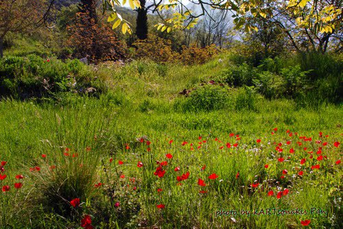 fragkos1's tweet photo. @Miri_21 😊 Good morning to you too my friend!👍🏻✨🌹 https://t.co/AOCsjgniJa