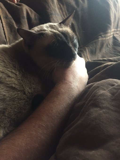 Watch Tony Stewart's leaked NSFW photo on TwXstars