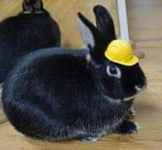 OconeeOcs's tweet photo. Happy Easter from OCS !!! https://t.co/Rd97VacV2U