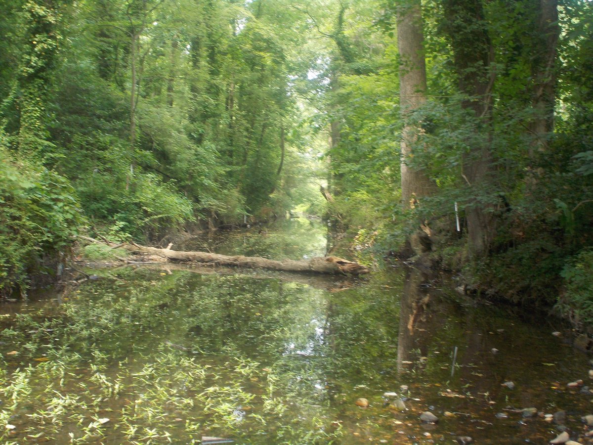 RCCrva's tweet photo. Join us tomorrow! pls RT #Free #Fun #Community #ReedyCreek #RVA #400trees https://t.co/whkSLQwZHN