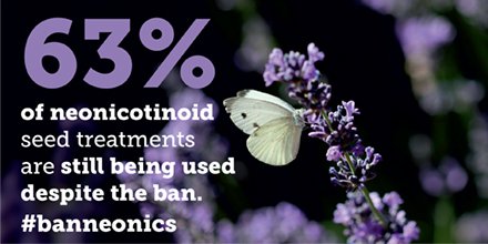 SoilAssociation's tweet image. New research shows that neonics are even more toxic than we thought. Find out more soilassociation.org/neonics