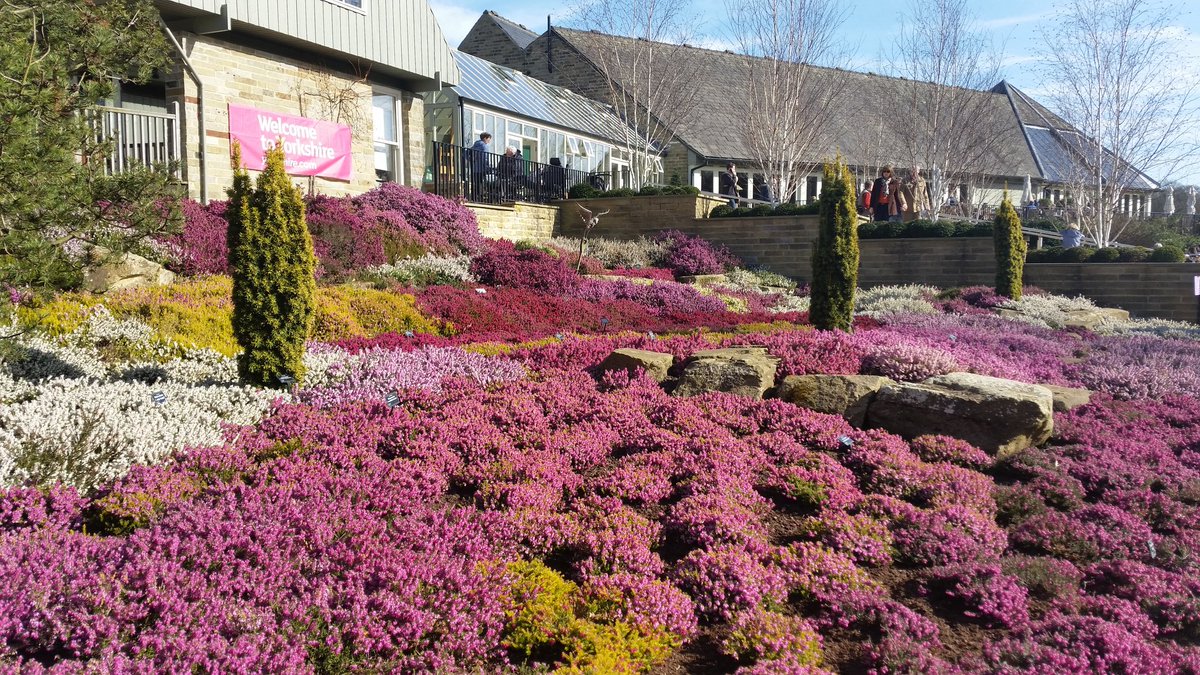 Elizcspence's tweet photo. Sunny Good Friday afternoon at Harlow Carr; congested but magnificent! https://t.co/ytOOvXI41W