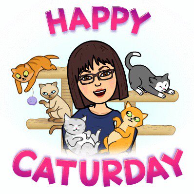 brs821's tweet image. Anticipating tomorrow... Enjoy your Saturday! #CatsHelp #AdoptDontShop #catkisses #kylie #dusty #cj #charli #captain