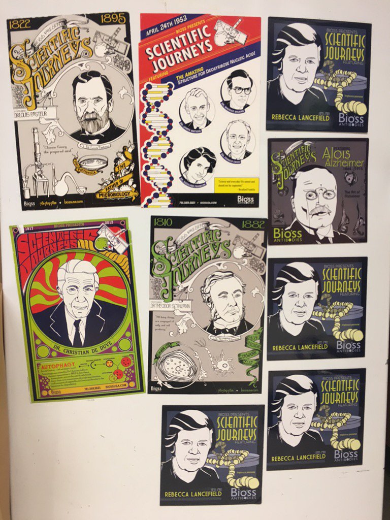 Saltzman Lab tweet media