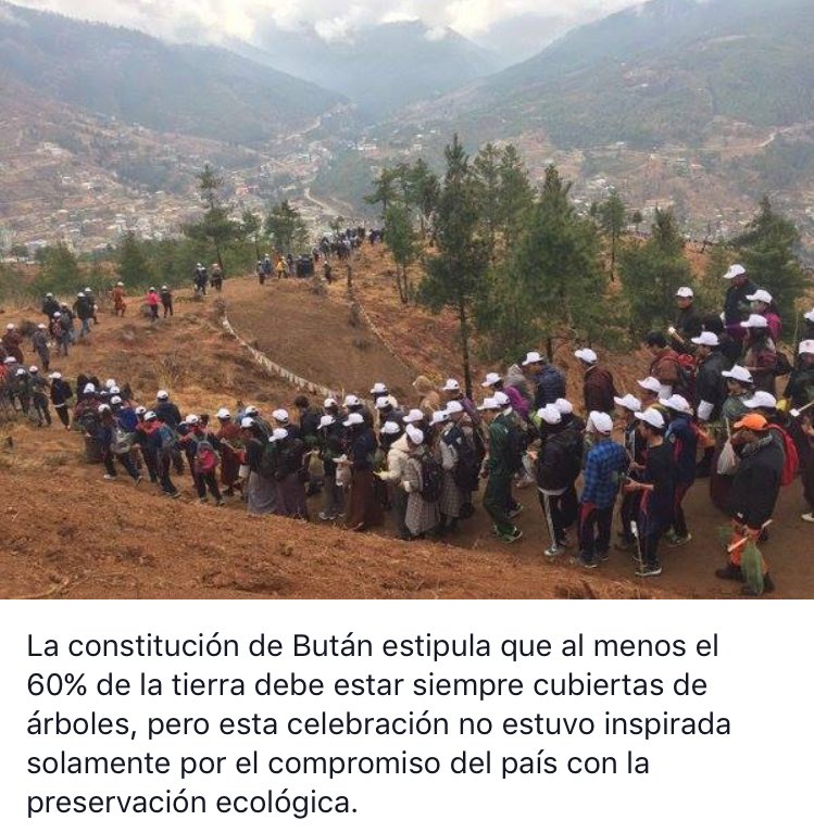 FelipeCortesCL's tweet photo. #Bután, el país más ecológico del mundo, celebró nacimiento del nuevo príncipe plantando 108,000 árboles. https://t.co/6ubOlI4ynw