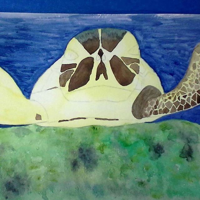 seaturtlegifts's tweet photo. #watercolor #wip #watercolorpainting #watercolors #seaturtles #seaturtle #ocean #oceanlif… https://t.co/B2wpa34hUB https://t.co/bAG4Gpqo0F
