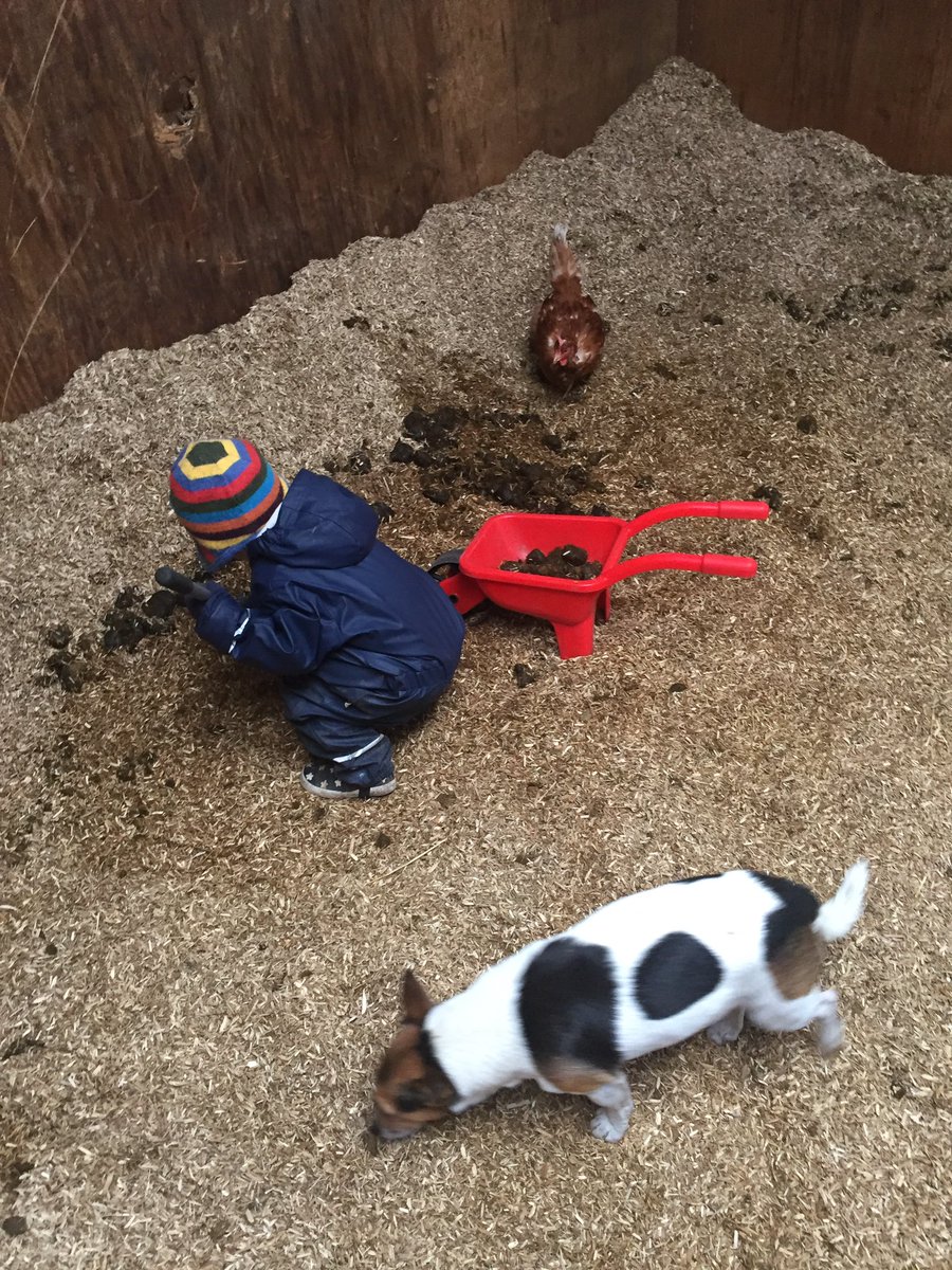 katebetteridge's tweet photo. Oliver mucking out @easibed @Fynalite1 @horseandhound #HorseHour #EquineHour https://t.co/SBDNcF2LNS