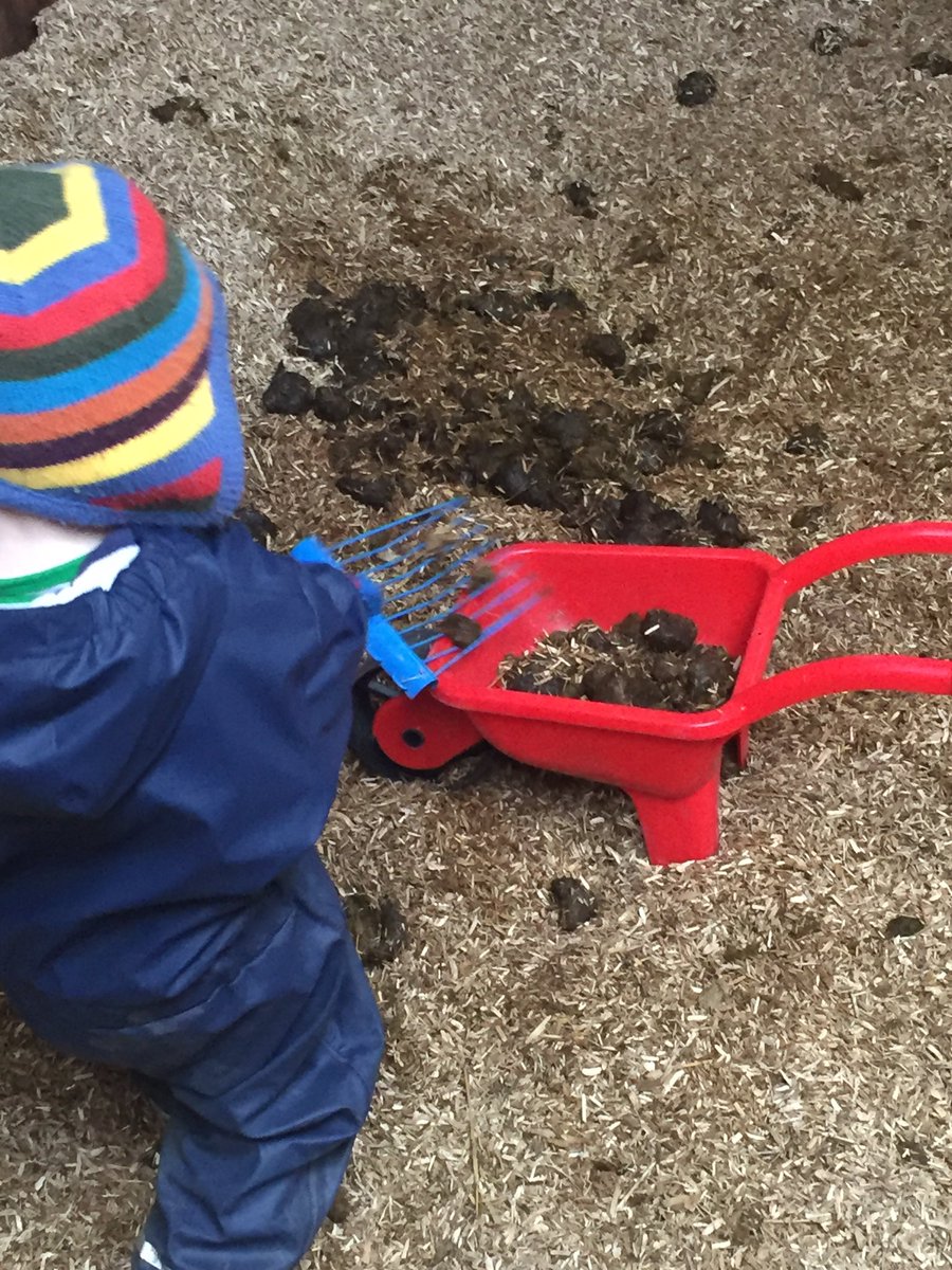 katebetteridge's tweet photo. Oliver mucking out @easibed @Fynalite1 @horseandhound #HorseHour #EquineHour https://t.co/SBDNcF2LNS