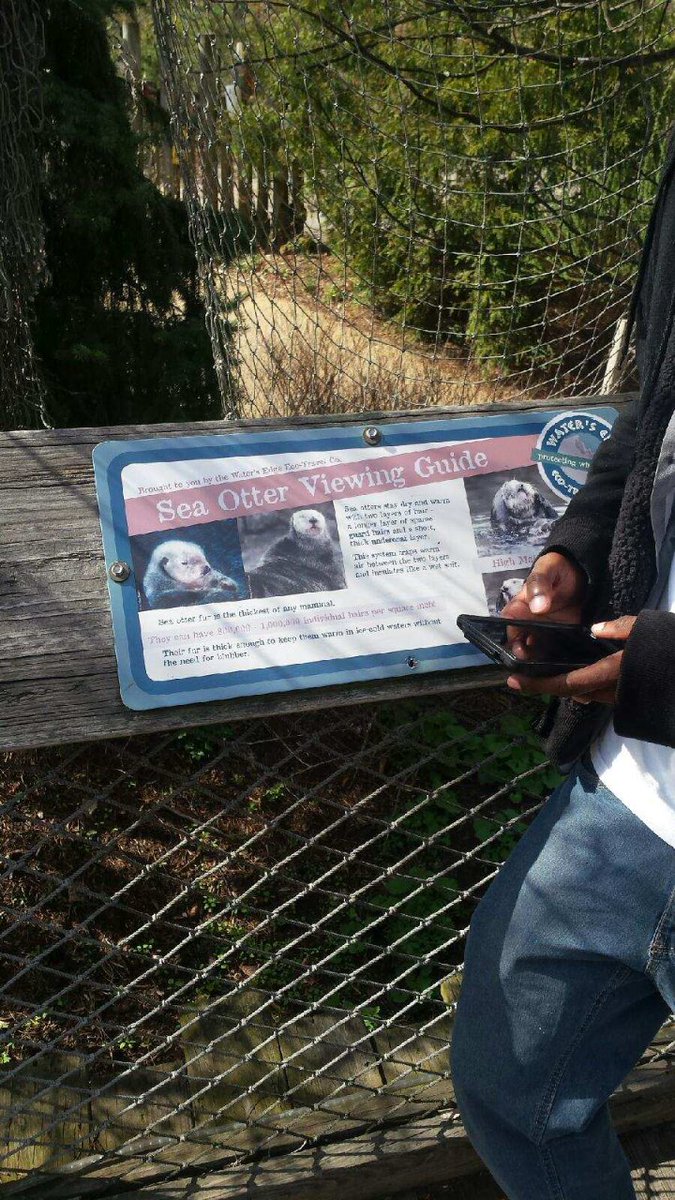 scholarproject's tweet photo. Sea otter have 1000000 hair per square inch #seaotters #zooforlife https://t.co/G5C3MNPn68