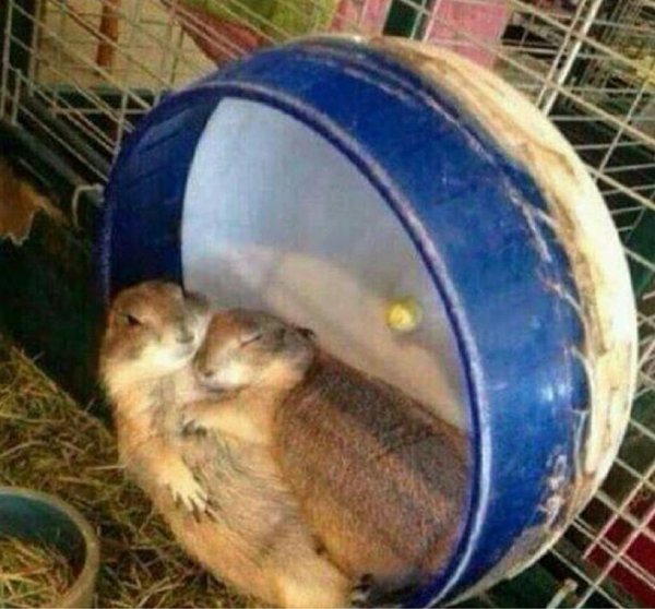 CauseWereGuys's tweet photo. When you're trying to think of a way to tell her she can’t stay the night https://t.co/I90znyZB0K