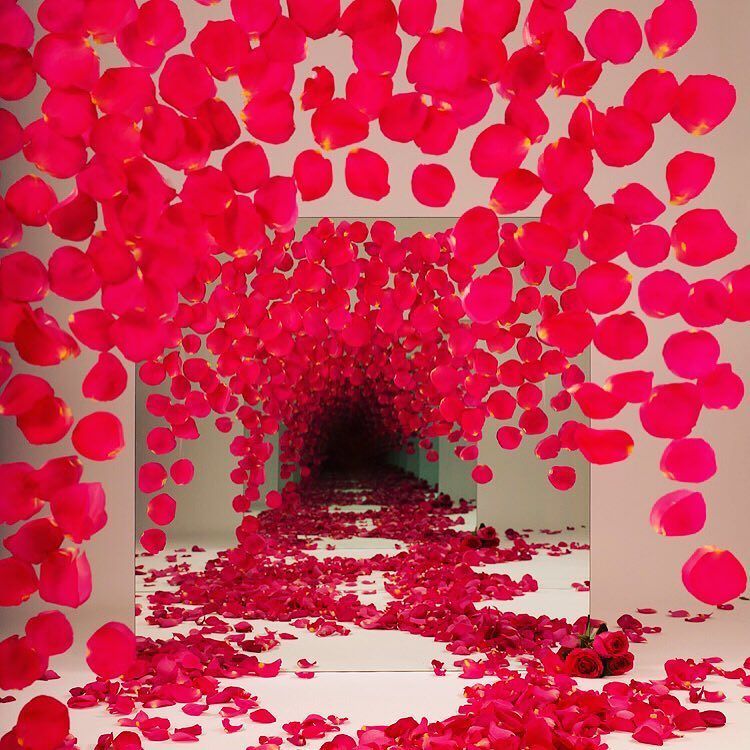 🌺 "Speculation" by Sarah Meyohas || #KEMPNERNYC 🌺