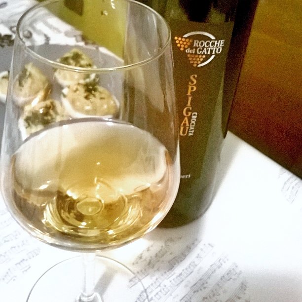 sapori di #Liguria #Spigau 2009 #RoccheDelGatto #Pigato #Albenga #Savona #winelover