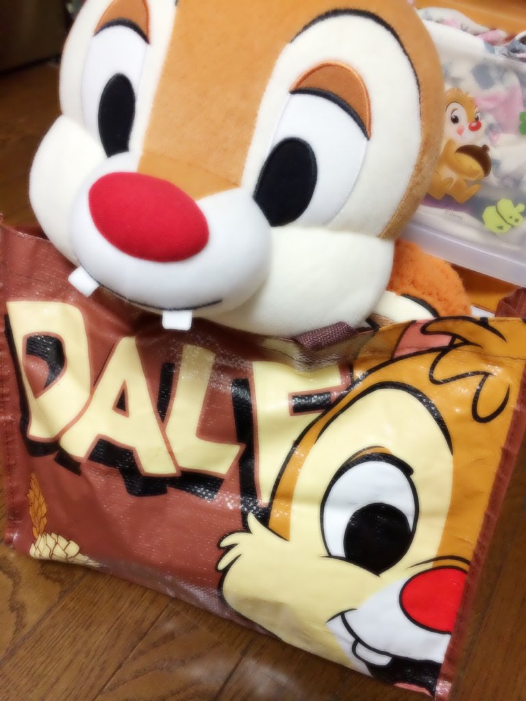 C_Daleeee's tweet photo. わたしの腕の中にいる、、
あざとい（´-`）.｡oO（♡） https://t.co/SG5n8aTnn9