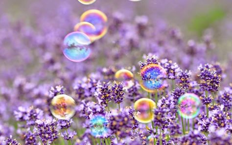 aktihotel's tweet photo. No lies today!
#HelloApril #Spring #Accomondation
#Aktihotel
https://t.co/qossSGkKyE https://t.co/IWhdquHqkq