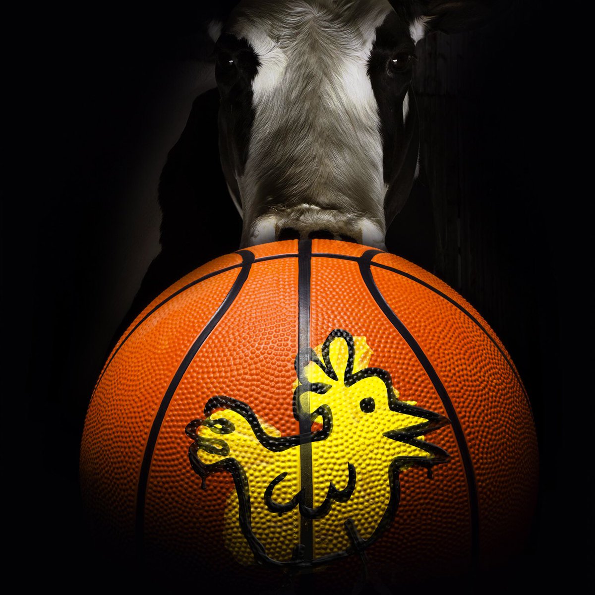 EatMorChikin's tweet photo. Chooz chikin 2 win it all. #MarchMadness https://t.co/pjsQqk28Sy