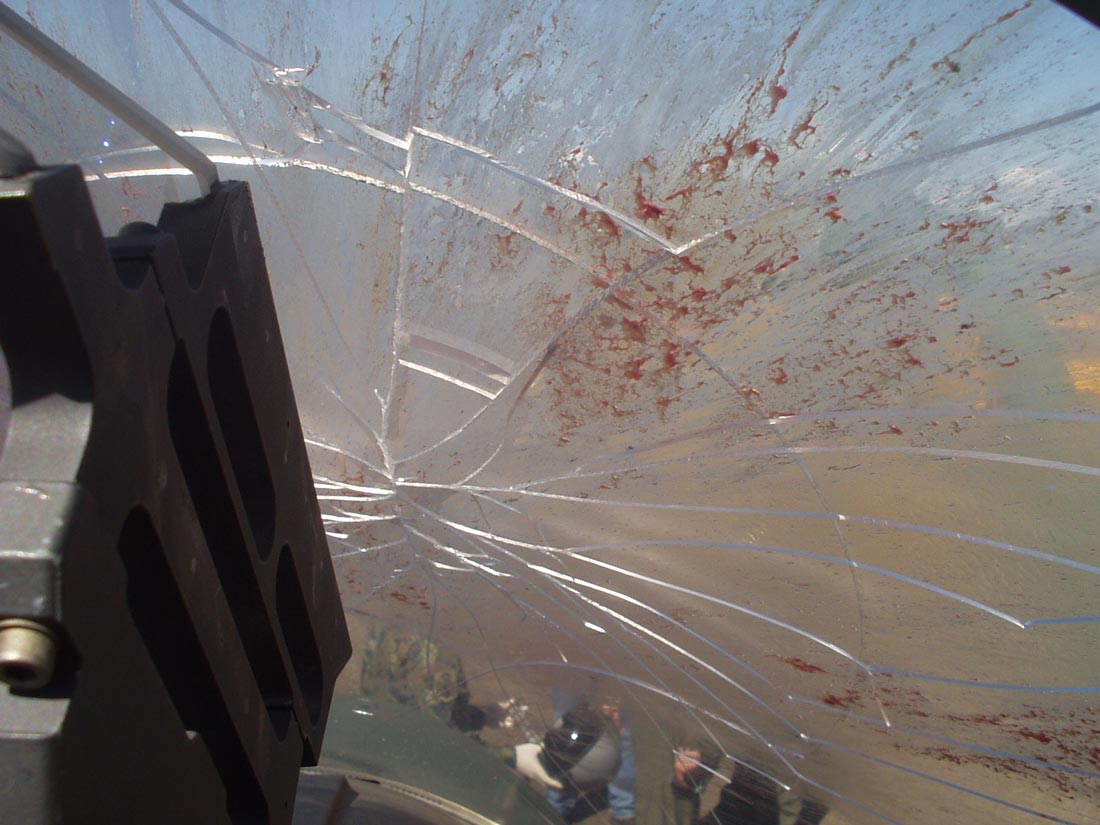 DisciplesFlight's tweet image. My Scariest Bird Strike:

disciplesofflight.com/scariest-bird-…

#BirdStrike #AviationSafety #DisciplesOfFlight