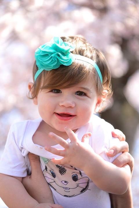 lyndsi55's tweet photo. @TODAYshow cherry blossom festival https://t.co/29mi5ElHgU